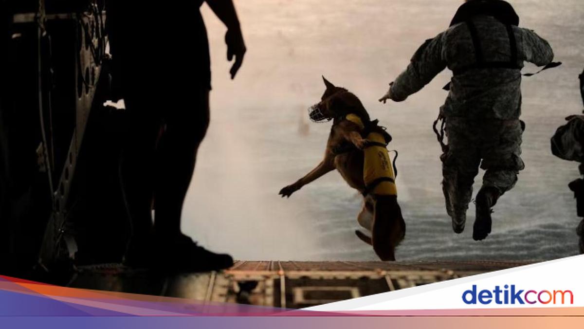 Profil Navy SEAL Team Six, Tim Elit AS yang Selamatkan Pilot dari Iran