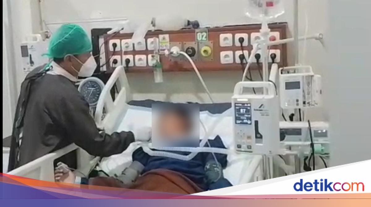 Dipatuk Ular Weling, Bocah Tasikmalaya Habiskan 50 Vial Antibisa