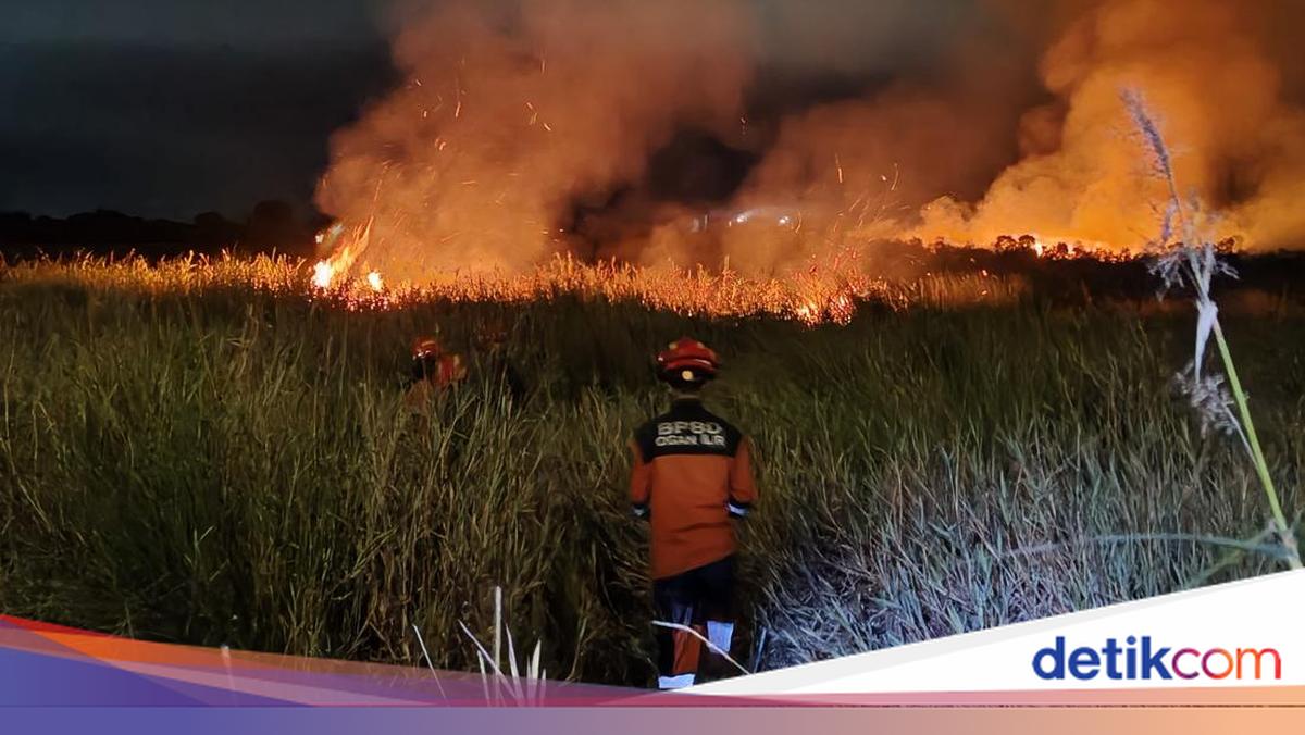 Potensi Karhutla 2026 Mulai Bulan Juni, Ini Langkah Mitigasi BMKG