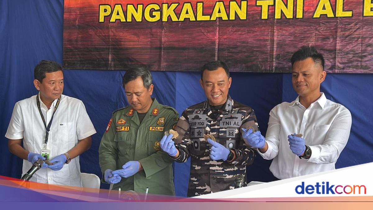 TNI AL Gagalkan Penyelundupan Sisik Trenggiling Senilai Rp 46,8 Miliar di Banten