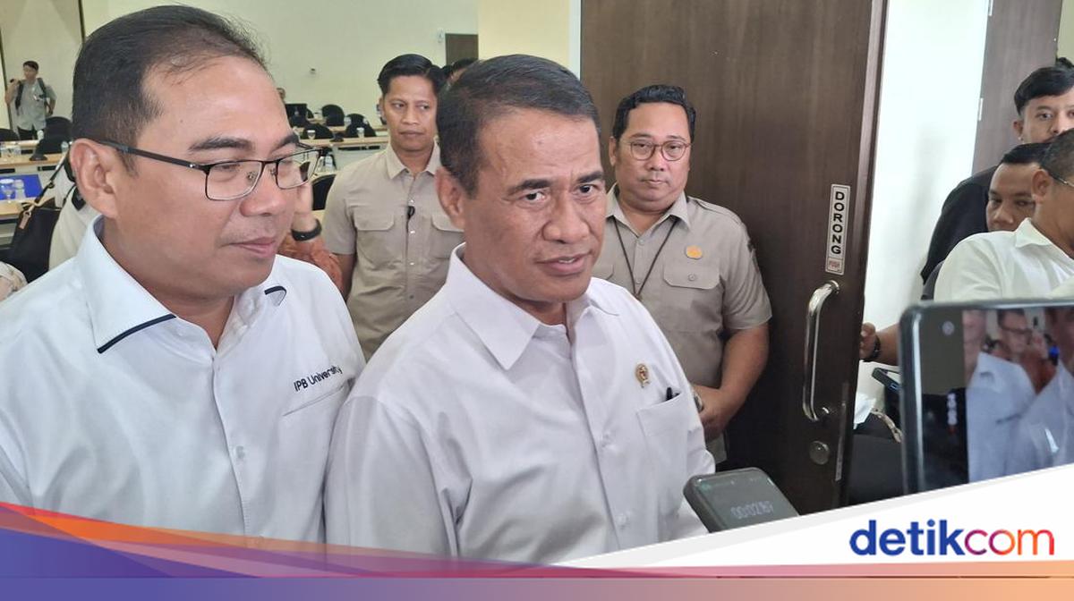 Kementan Borong Bibit Padi Penelitian IPB Rp 250 Miliar, Bisa Produksi 11 Ton