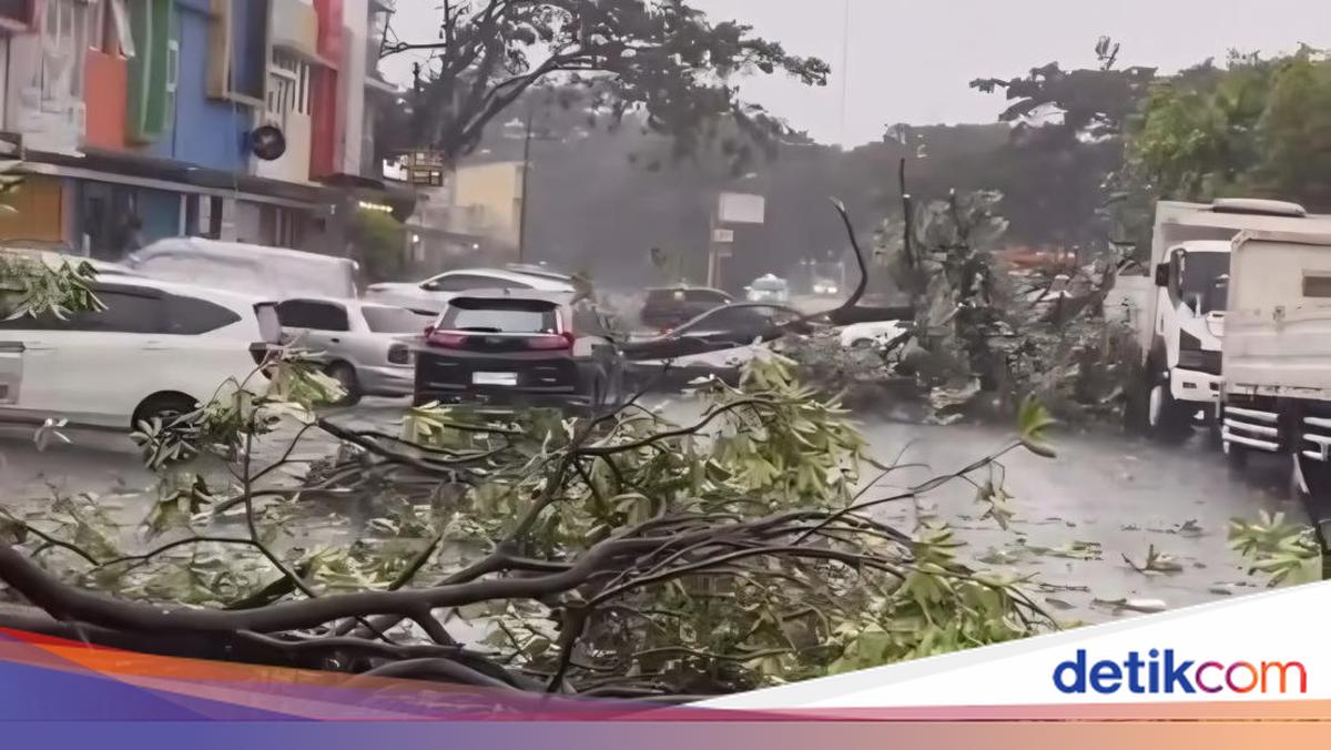 Bekasi Dilanda Cuaca Ekstrem Sore Tadi, Hujan Es hingga Pohon Tumbang