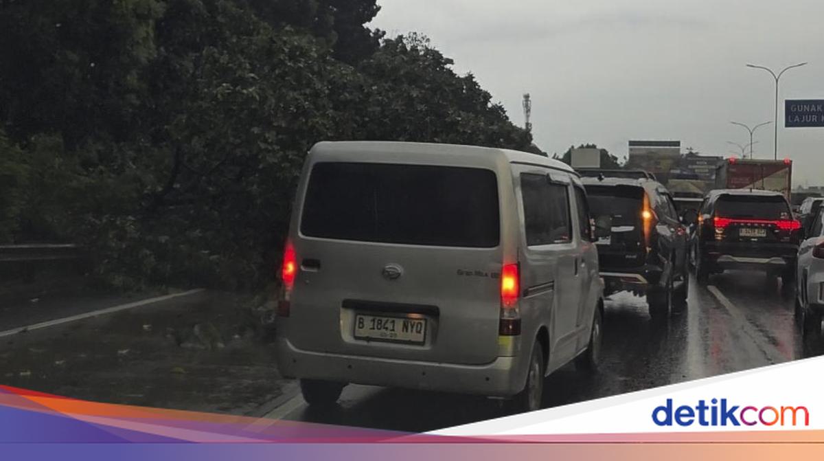 Sejumlah Pohon di Tol Jagorawi Tumbang Imbas Cuaca Ekstrem, Lalin Sempat Macet