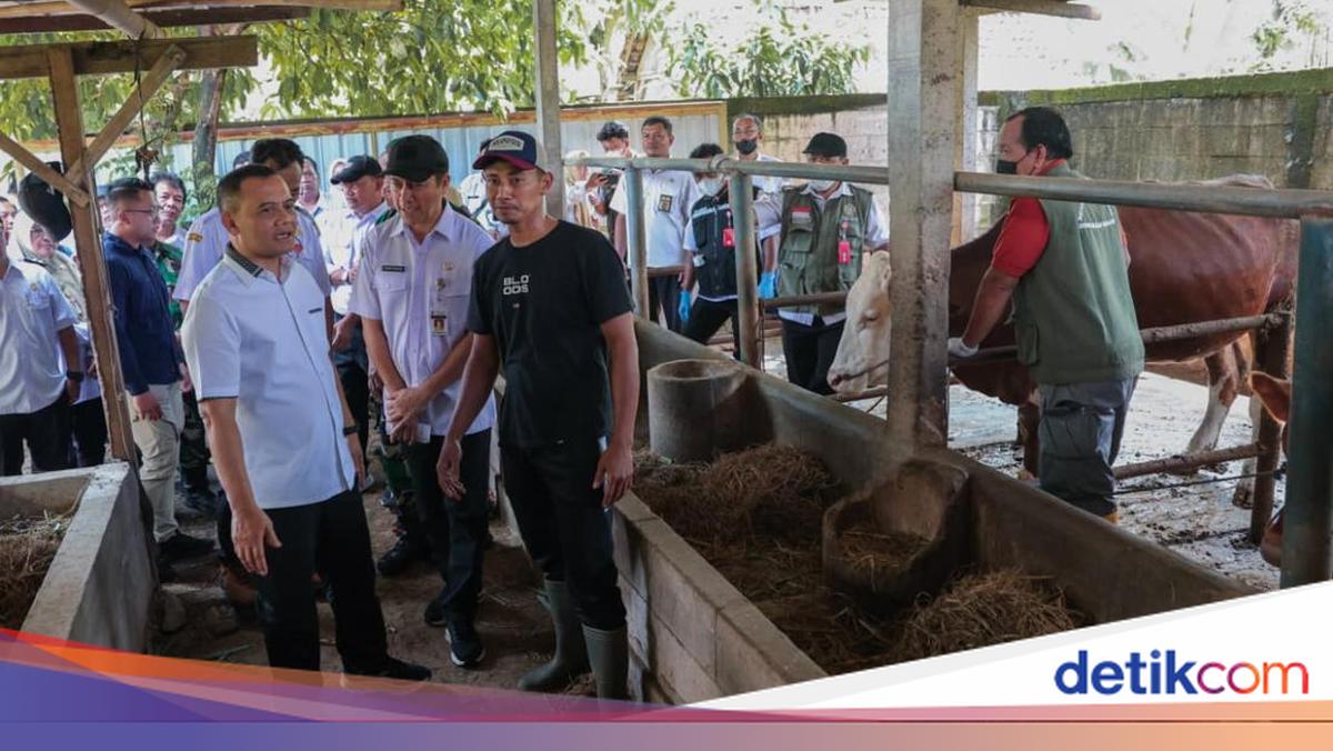 Gubernur Jateng Tinjau Program Healing untuk Jaga Kesehatan Hewan Kurban Jelang Iduladha