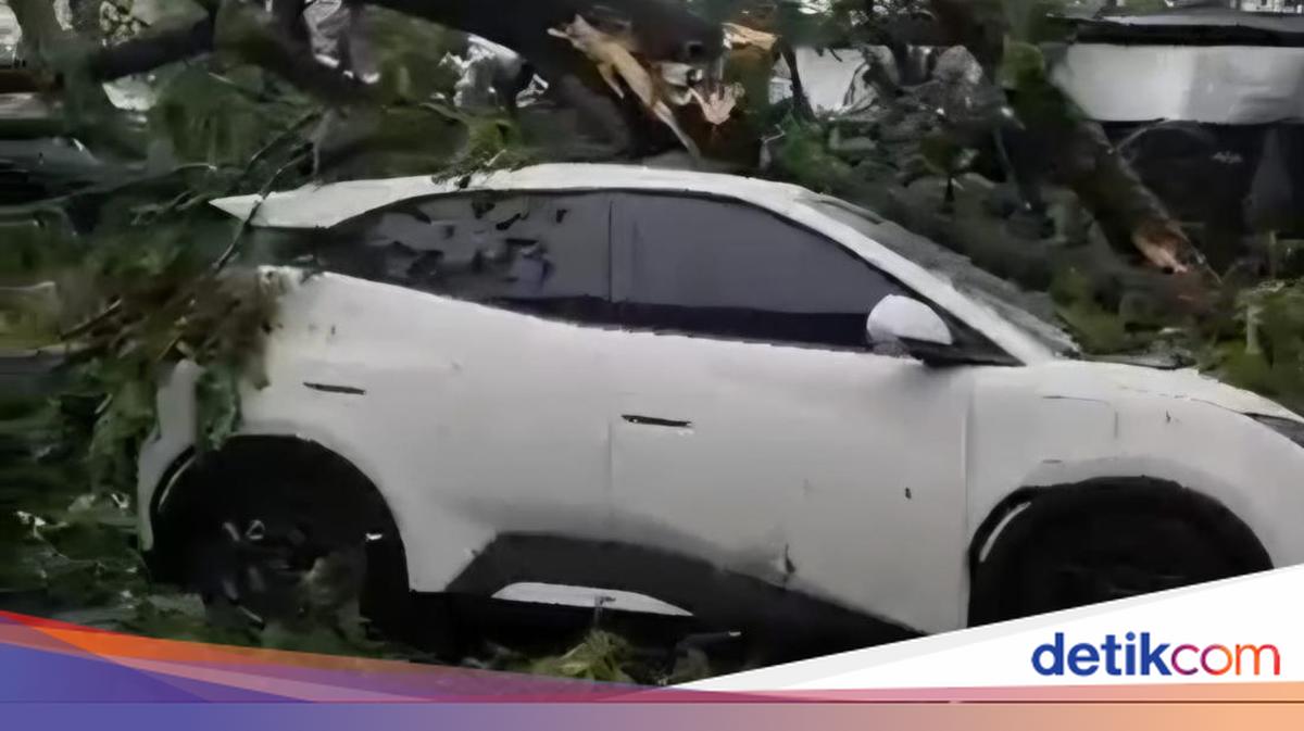 Cuaca Ekstrem Landa Bogor, Pohon Tumbang Rusak Rumah hingga Timpa Mobil