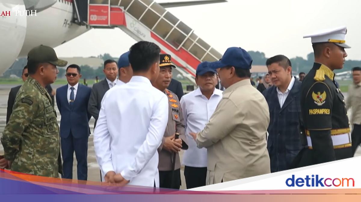 Disambut Gibran, Prabowo Tiba di Tanah Air Usai Bertemu Putin dan Macron