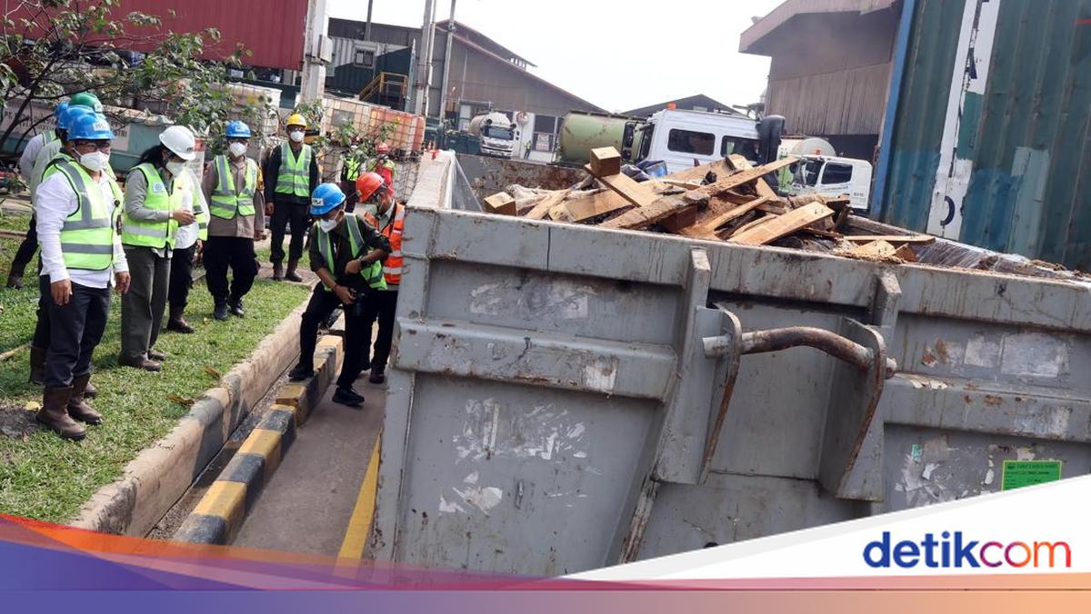129 Ton Kulit Sapi Asal Jerman Kena PMK Dimusnahkan di Bogor