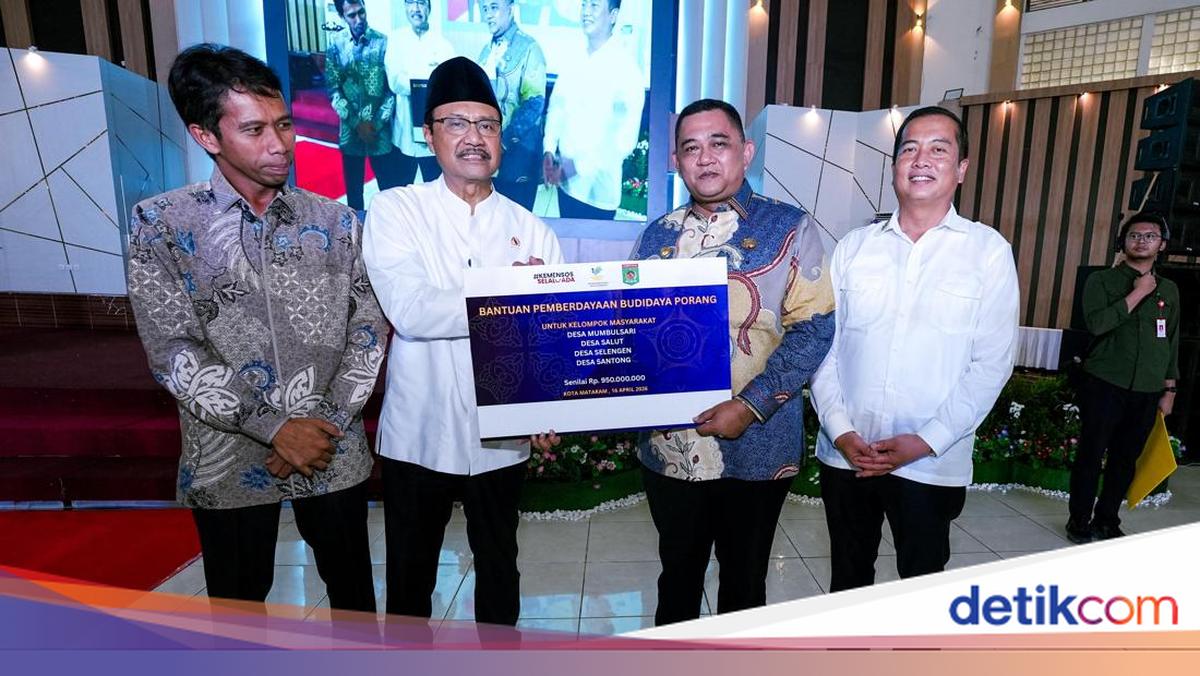Berdayakan Petani Porang NTB, Kemensos Gandeng Multipihak
