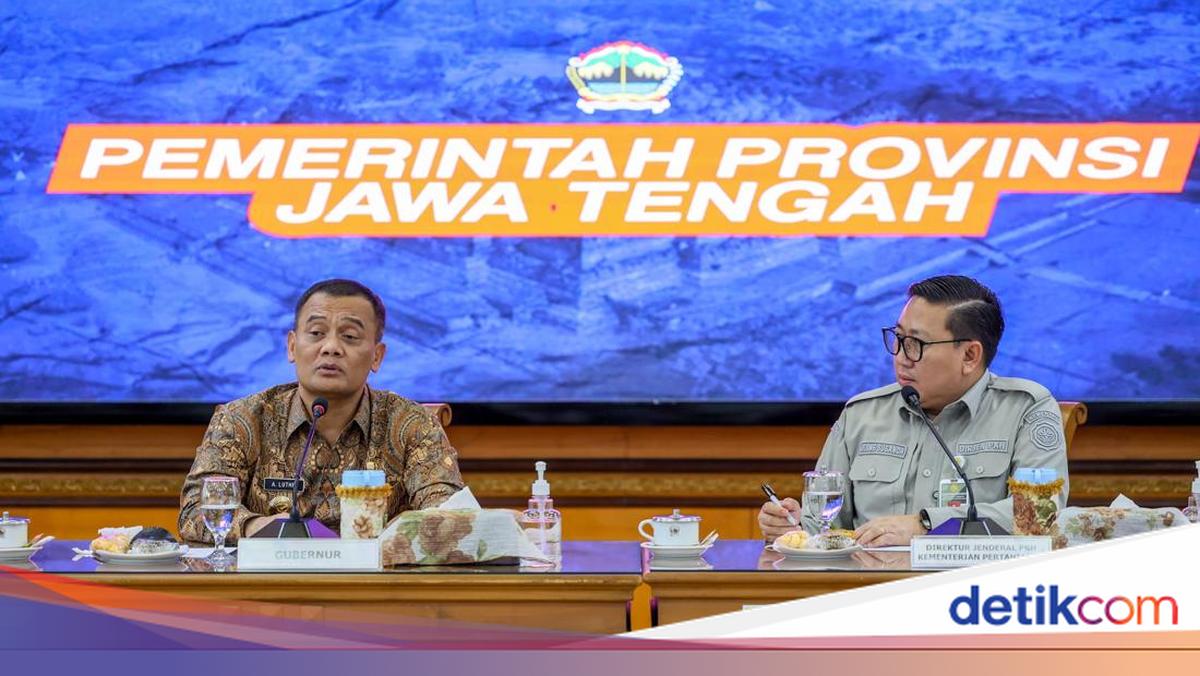 Jawa Tengah Siap Jadi Lokasi Peternakan Sapi Perah Terbesar di Indonesia