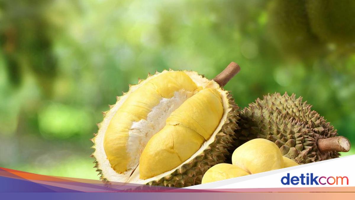 Durian hingga Sarden Masuk Daftar 5 Makanan Paling Dibenci, Kenapa Ya?