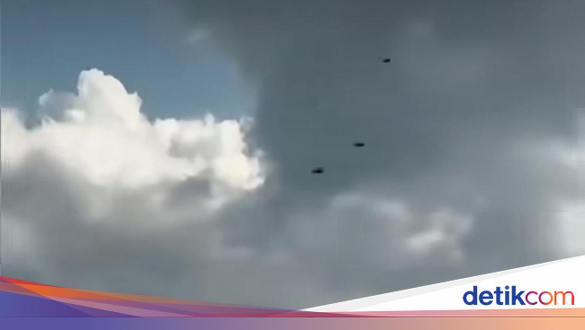 Kawanan Lebah Serbu Tol Bali Mandara, BKSDA Jelaskan Fenomena Swarming