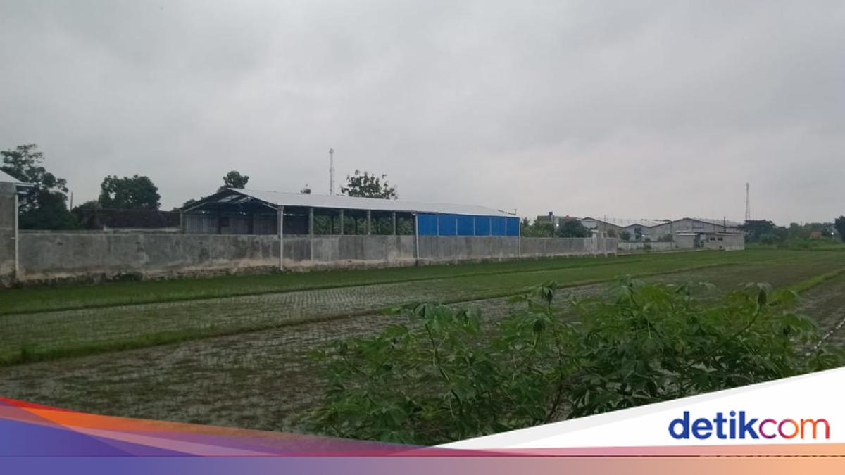 Ini Gudang Penyimpanan Mobil dan Motor Selundupan yang Dibongkar Polda Jateng