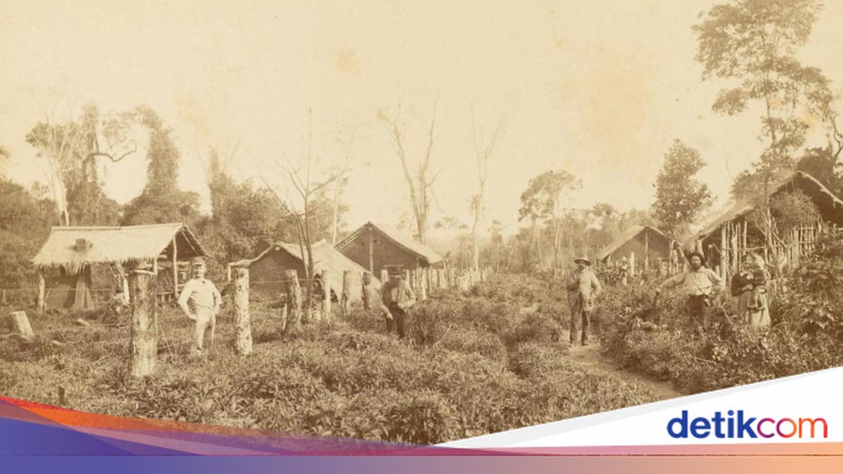 Nueva Germania: Utopia Arya Gagal di Paraguay