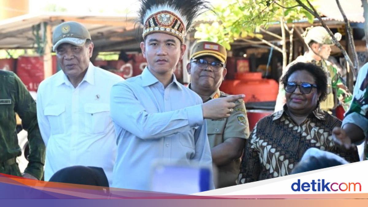 Dampingi Gibran ke Papua, Wamendagri Ribka Ungkap Progres Pembangunan DOB