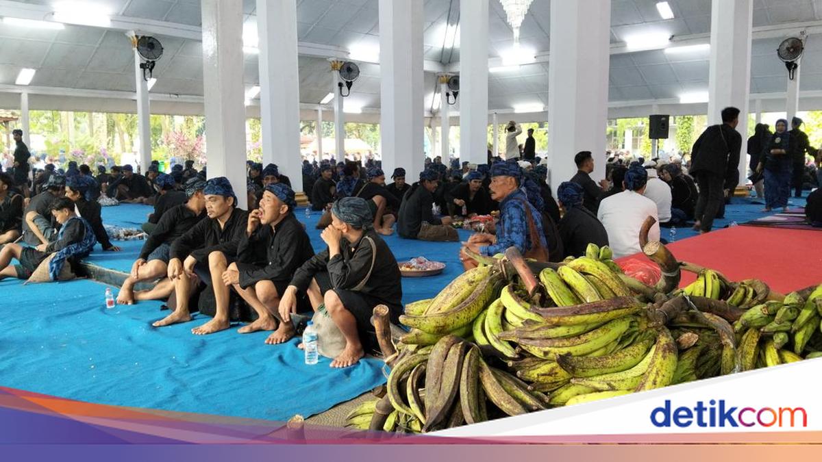 1.515 Warga Baduy Jalan Kaki 40 Km ke Pendopo Bupati Lebak Bawa Hasil Bumi
