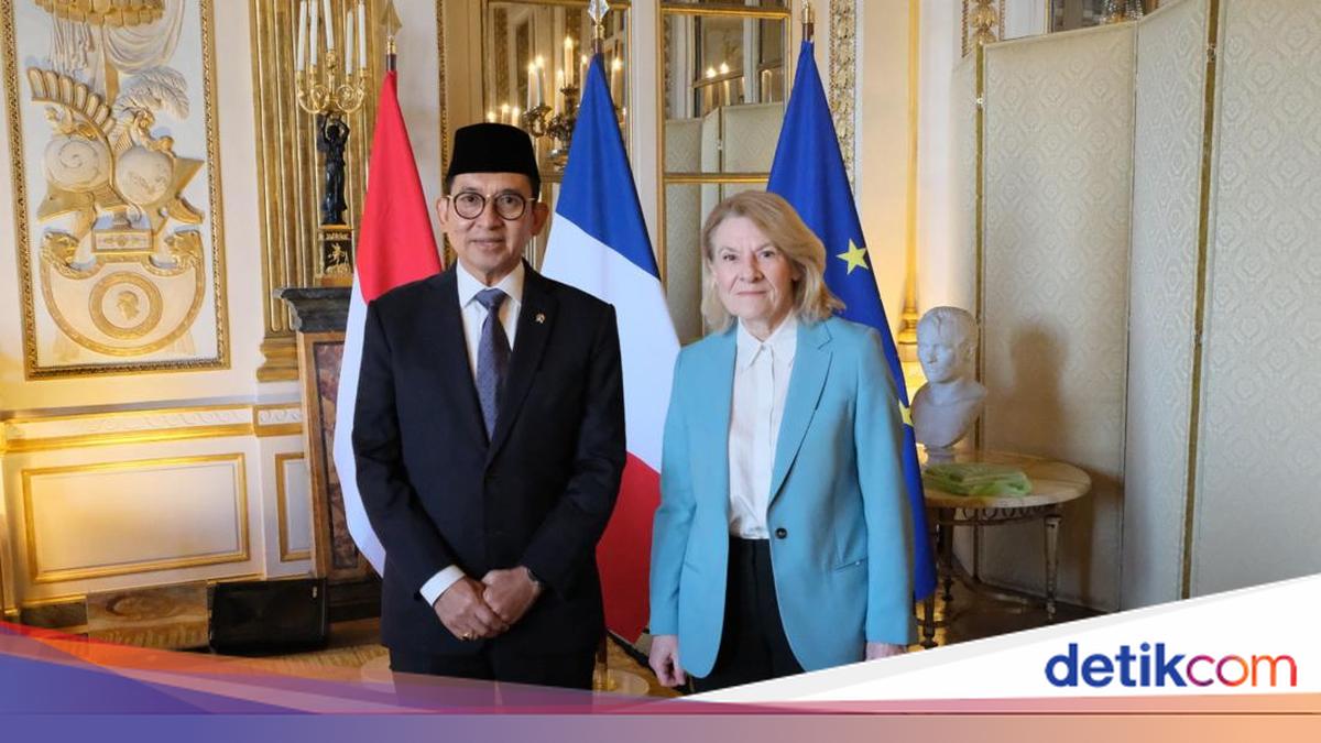 Temui Menbud Prancis, Fadli Zon Perkuat Diplomasi Budaya RI-Prancis