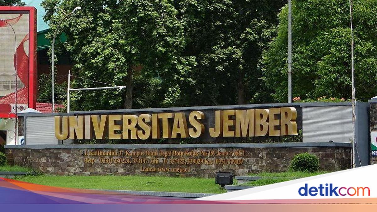 Viral Pelecehan Seksual di FH Unej, Pelaku Terancam DO