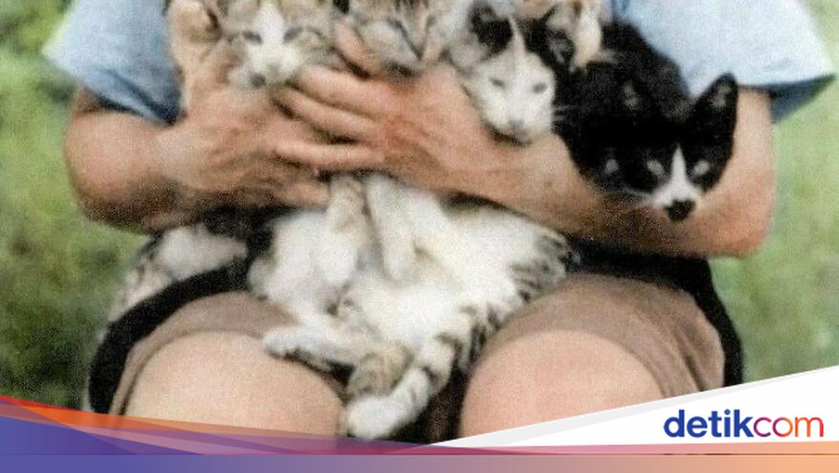 Foto-foto Jadul Ini Ternyata Simpan Cerita yang Bikin Melotot!