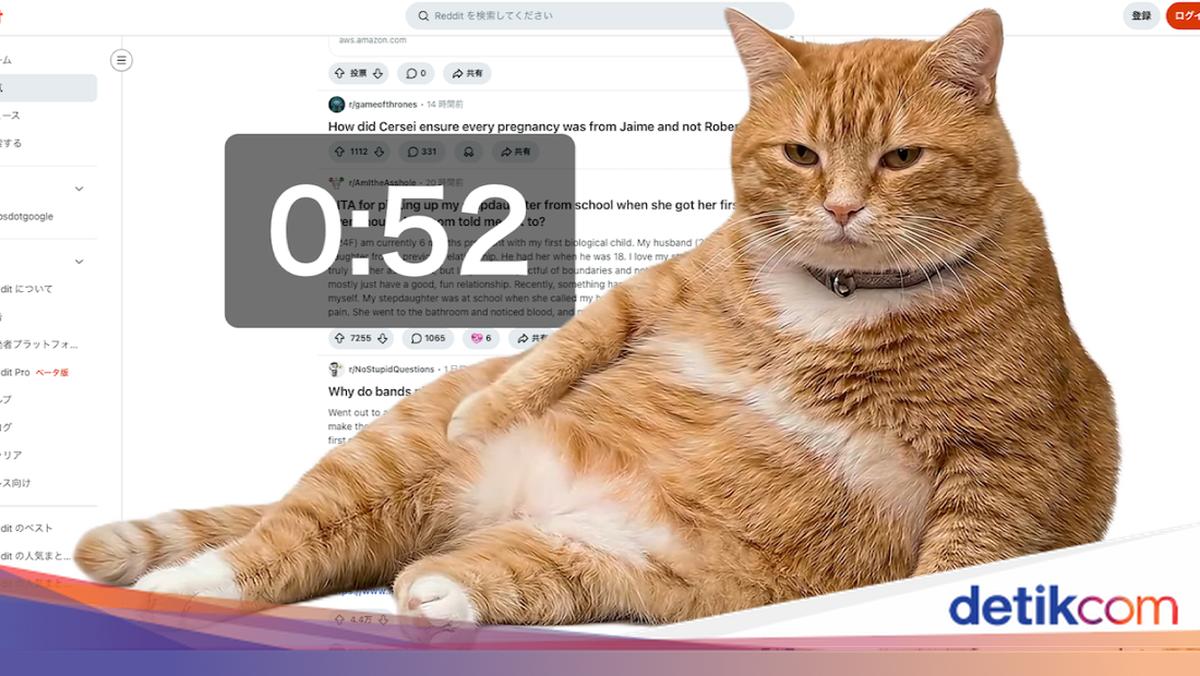 Cara Pasang Cat Gatekeeper, Kucing Oren yang Tutupi Layar biar Setop ...