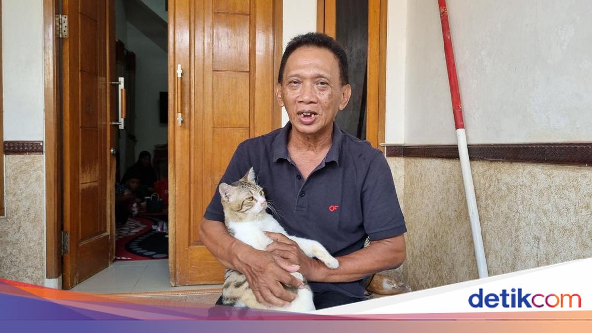 Seorang Cat Lover, Adelia Korban Kecelakaan KA di Bekasi Pelihara 15 Kucing