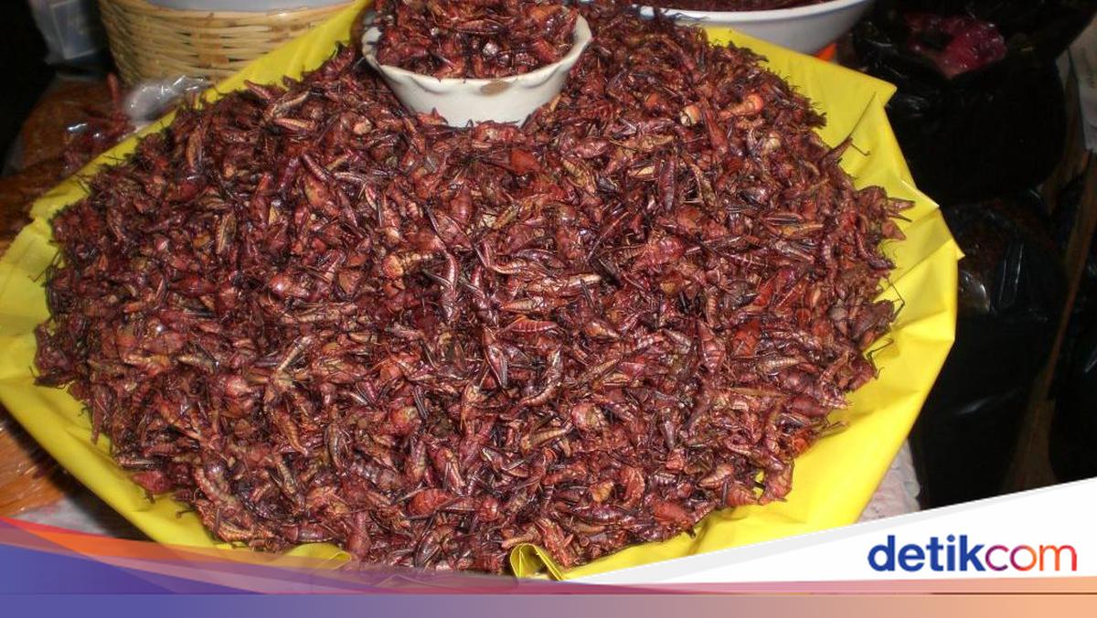 8 Makanan Tak Biasa di Dunia, Ada Semut hingga Buaya Goreng Tepung