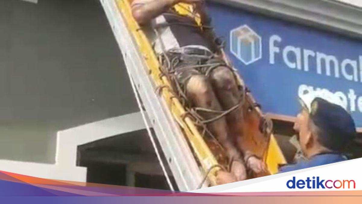 Momen Damkar Evakuasi Penghuni Apartemen di Tanjung Duren yang Terjebak