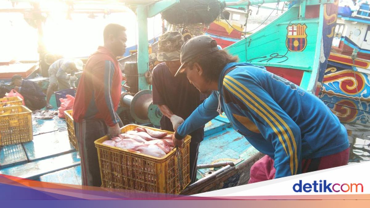 KKP Sambut Baik Perpres ILO 188, Langkah Kongkret Lindungi Awak Kapal Ikan