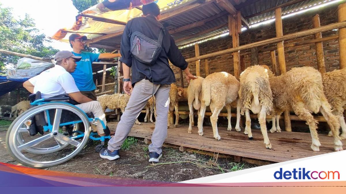 Tak Lagi Pekerjakan SPG, Pedagang Kurban di Bantul Kini Gandeng Difabel