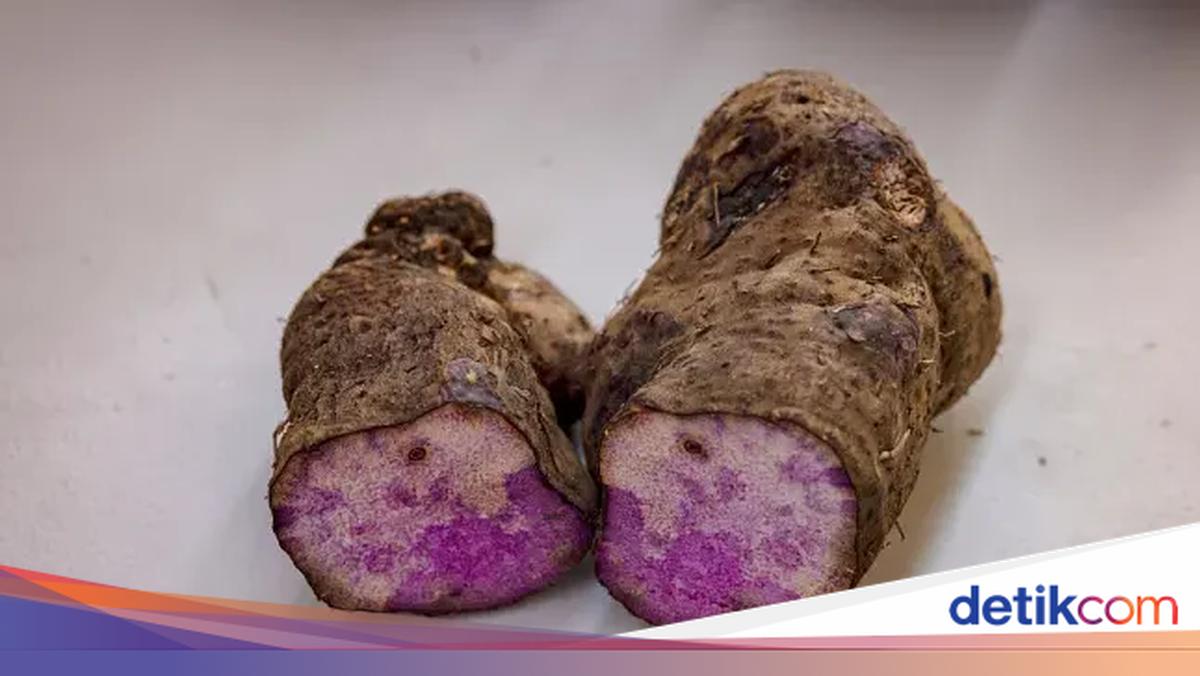 Lagi Hits! Konsumsi Ube Ternyata Punya 5 Manfaat Sehat buat Tubuh