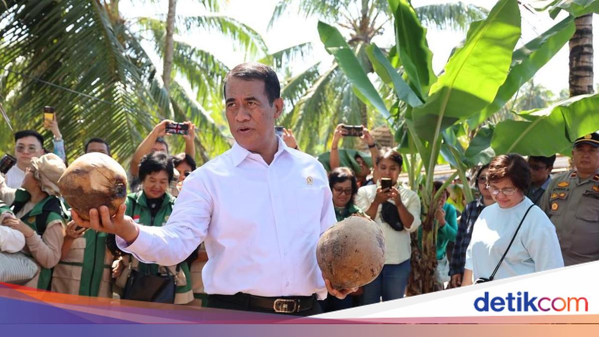 Muncul Anomali Harga Sawit, Mentan Surati Polri Minta Diusut