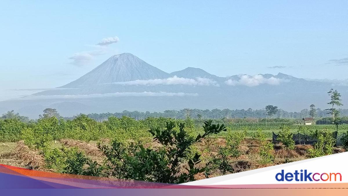 Semeru Erupsi 7 Kali, Warga Diminta Jauhi Radius 13 Km dari Puncak