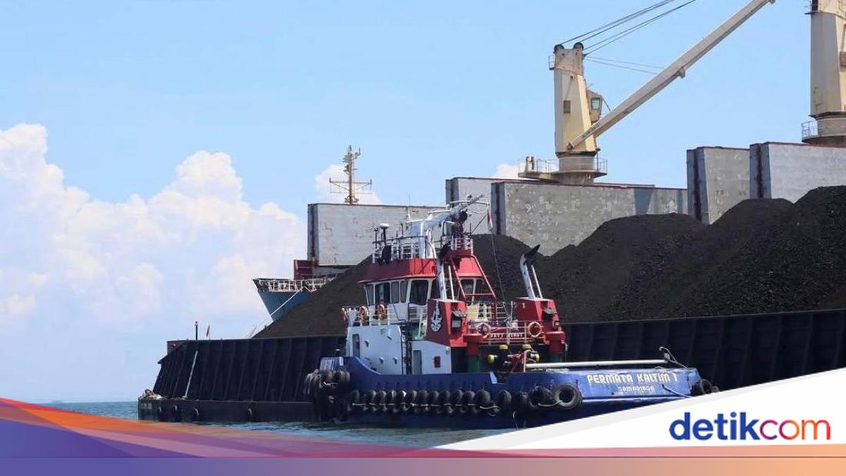 Alasan Ekspor Sumber Daya Alam Satu Pintu Lewat DSI &amp; 6 Permintaan Pengusaha