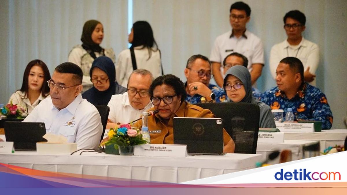 Wamendagri Tekankan Sinkronisasi Pusat dan Daerah untuk PSN Pantura Jawa