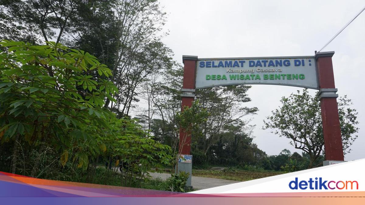 Ketika Agrowisata BRILiaN Jadi Solusi Genjot Ekonomi Desa