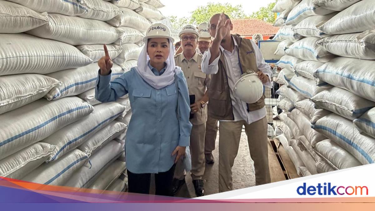 Cek Stok Beras, Pimpinan Fraksi Gerindra DPR Tinjau Gudang Bulog Cilacap