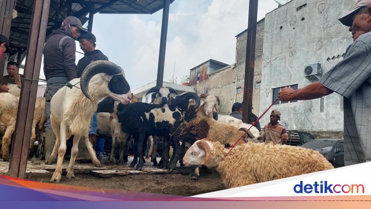 Kenali Penyakit pada Hewan Kurban, Penuhi Syarat Sah Berkurban
