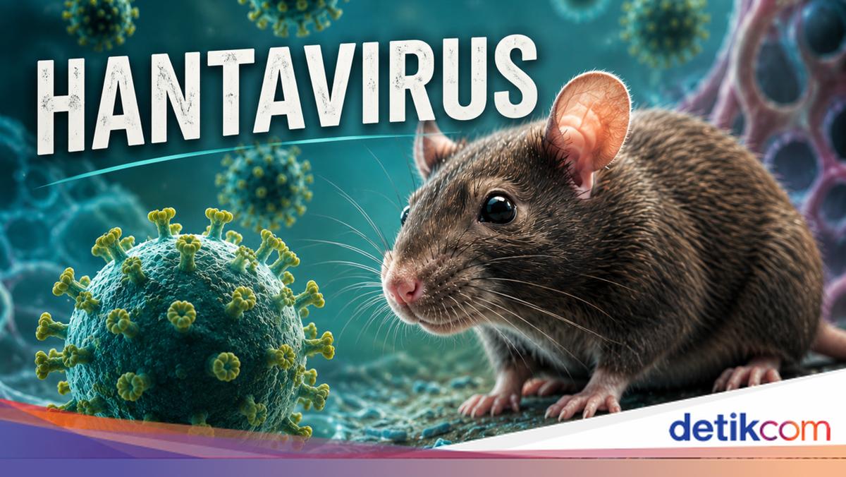 Apa Itu Hantavirus? Virus yang Tewaskan 3 Penumpang Kapal Pesiar