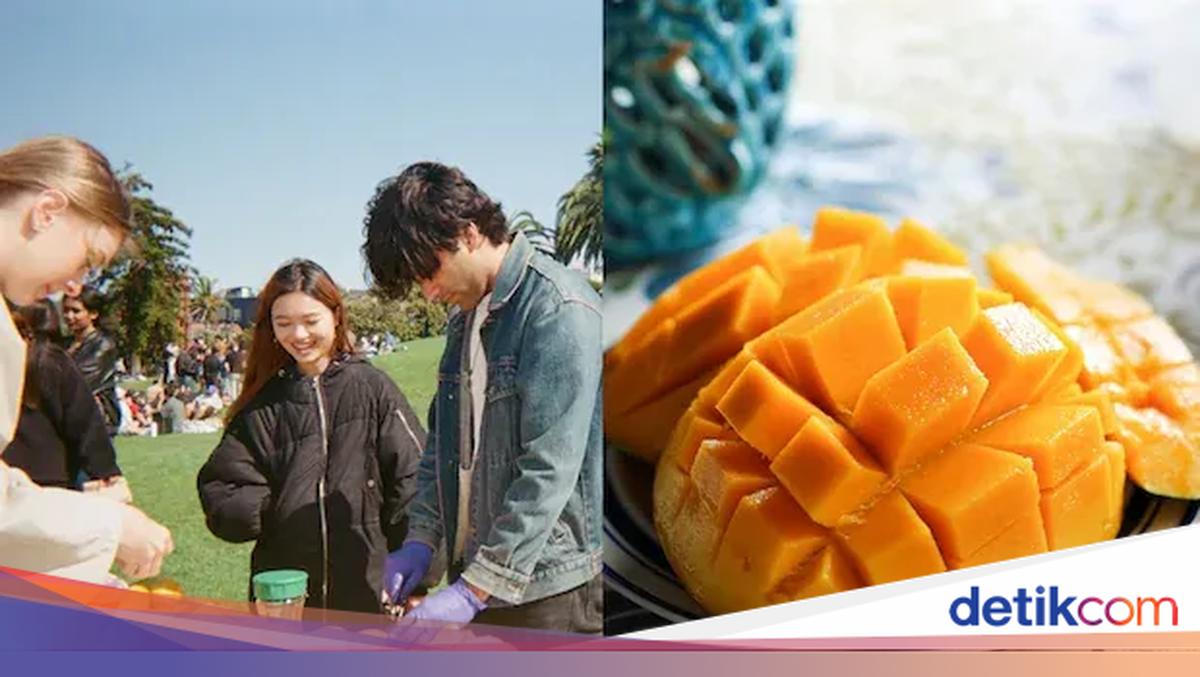 Mangga India Langka, Pria Ini Malah Bikin 'Pesta Mangga' Viral!