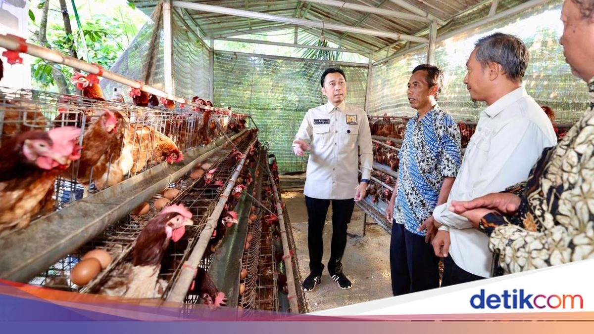 Ibas Dorong Peternakan Desa Jadi Penopang Ekosistem Pangan-Program MBG