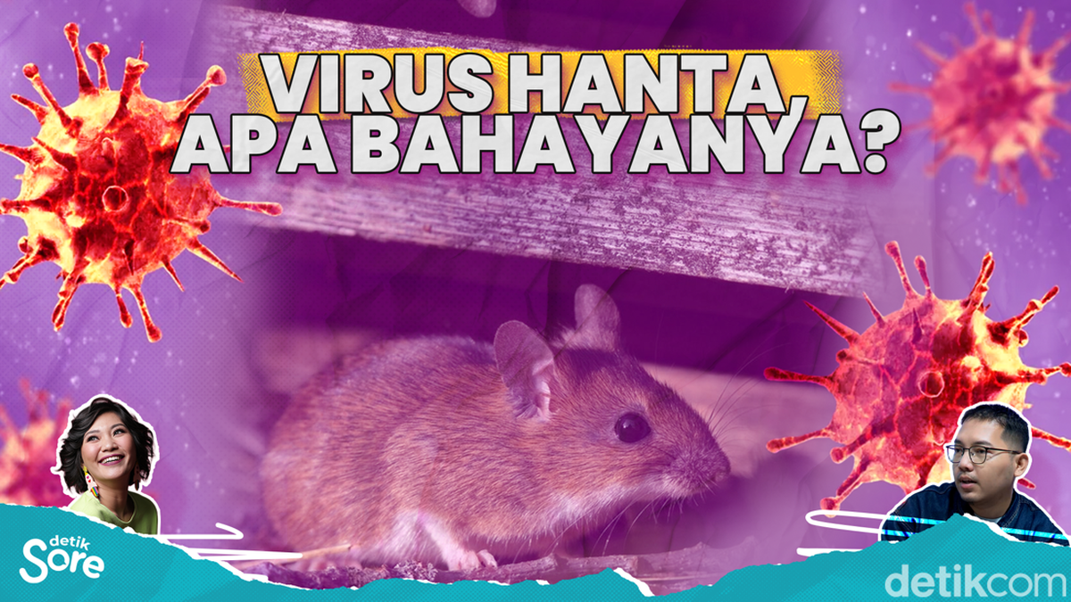 Bentengi Indonesia dari Virus Hanta
