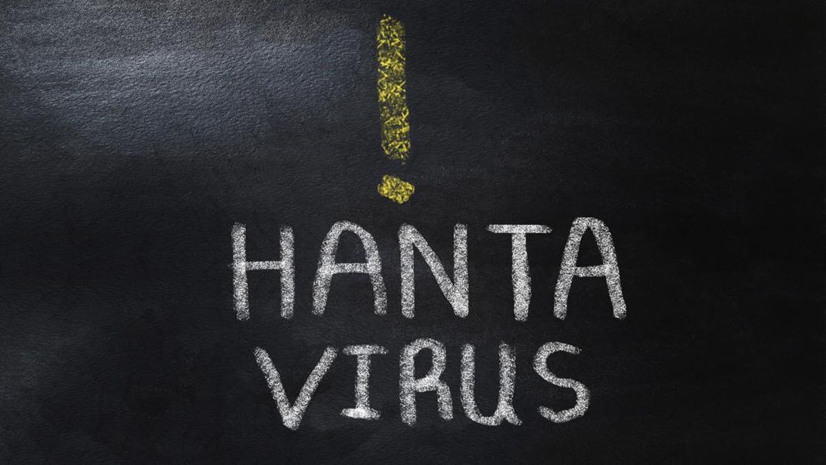 Apakah Hantavirus Ada di Indonesia? Begini Penjelasan Kemenkes