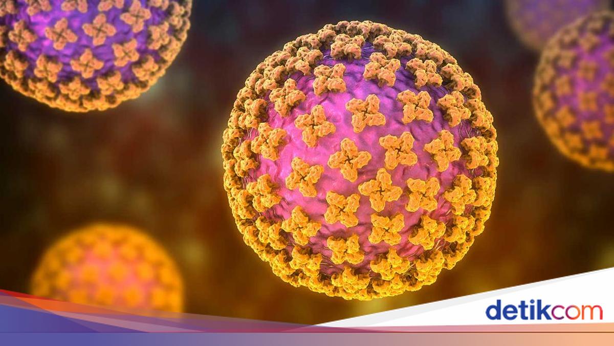 1 Kasus Suspek Hantavirus di Kulon Progo Dinyatakan Negatif