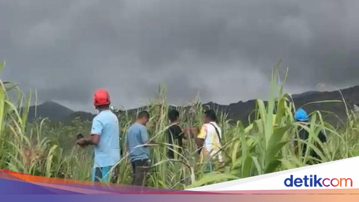 14 Pendaki Selamat dari Erupsi Gunung Dukono, 7 WNI dan 7 WNA