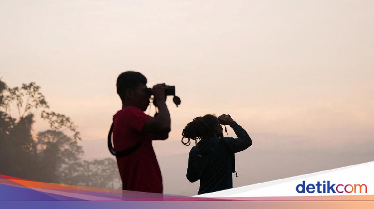 Ekspedisi Sains Warga Global Big Day 2026: Menguak Kehidupan Avifauna di Jantung Hutan Darién, Panama Menyusuri Hutan Panama, Pengamat Burung Ramaikan Global Big Day