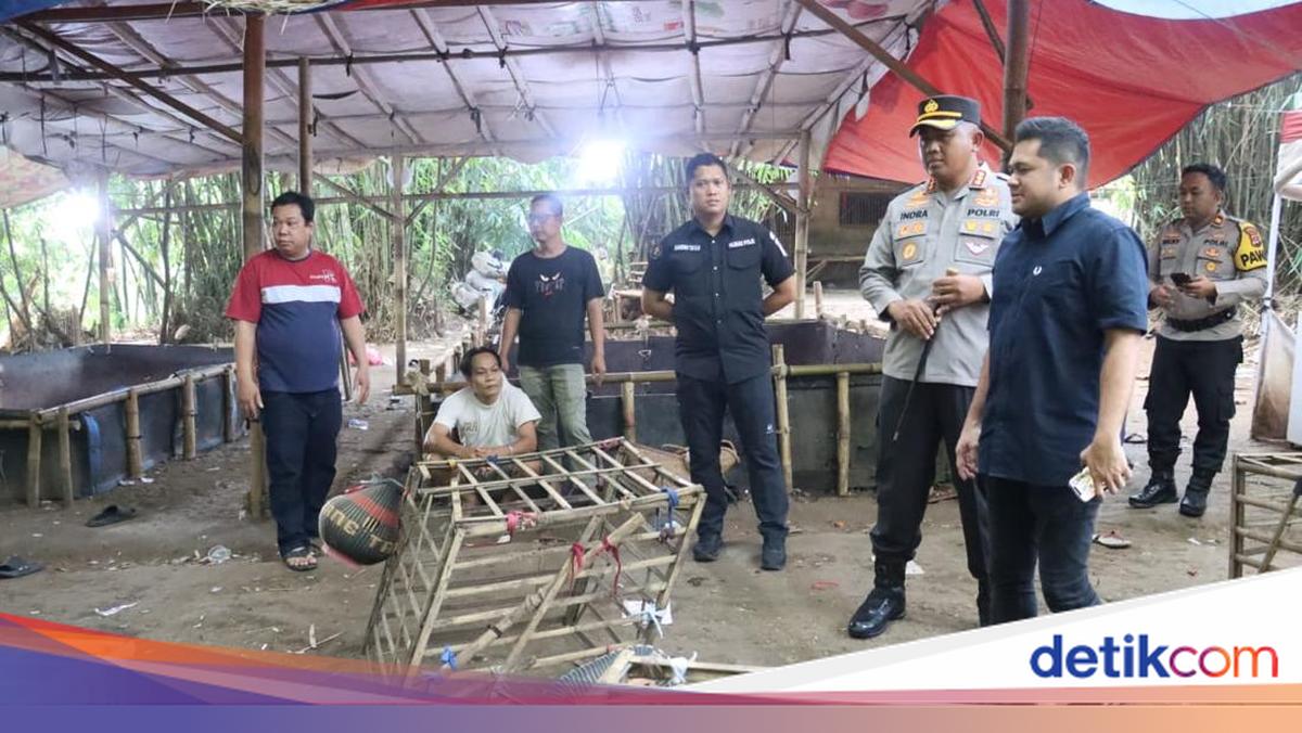 Polresta Tangerang Gerebek Judi Sabung Ayam, 28 Motor Diamankan