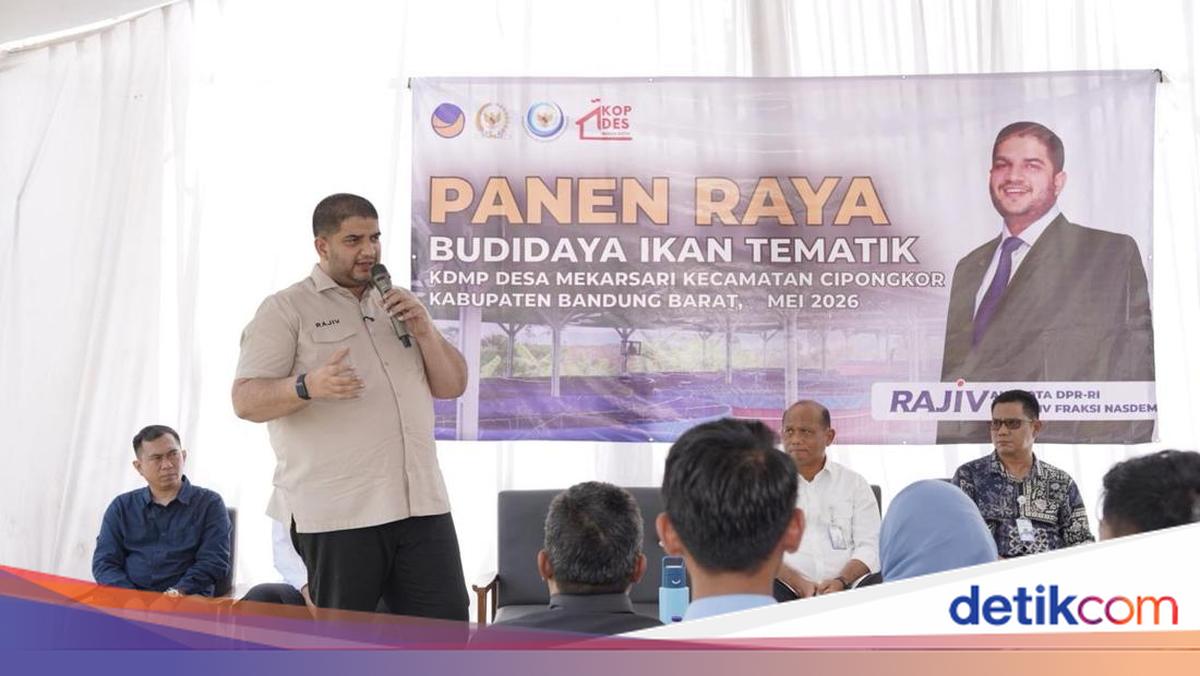 Rajiv Minta SPPG & KDMP Serap Hasil Budidaya Ikan Tawar untuk Program MBG