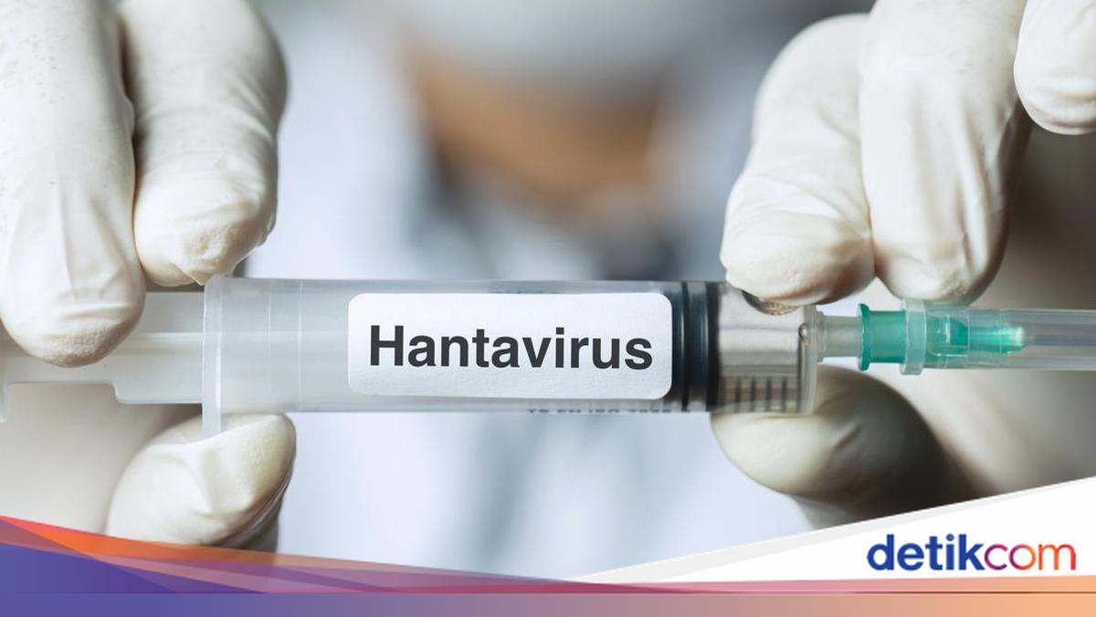 Dinkes DKI Temukan 4 Kasus Hantavirus di Jakarta: 3 Sembuh, 1 Masih Suspek