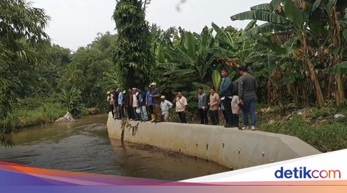 Walkot Depok Akan Keruk Kali Atasi Banjir Bertahun-tahun di Bulak Barat