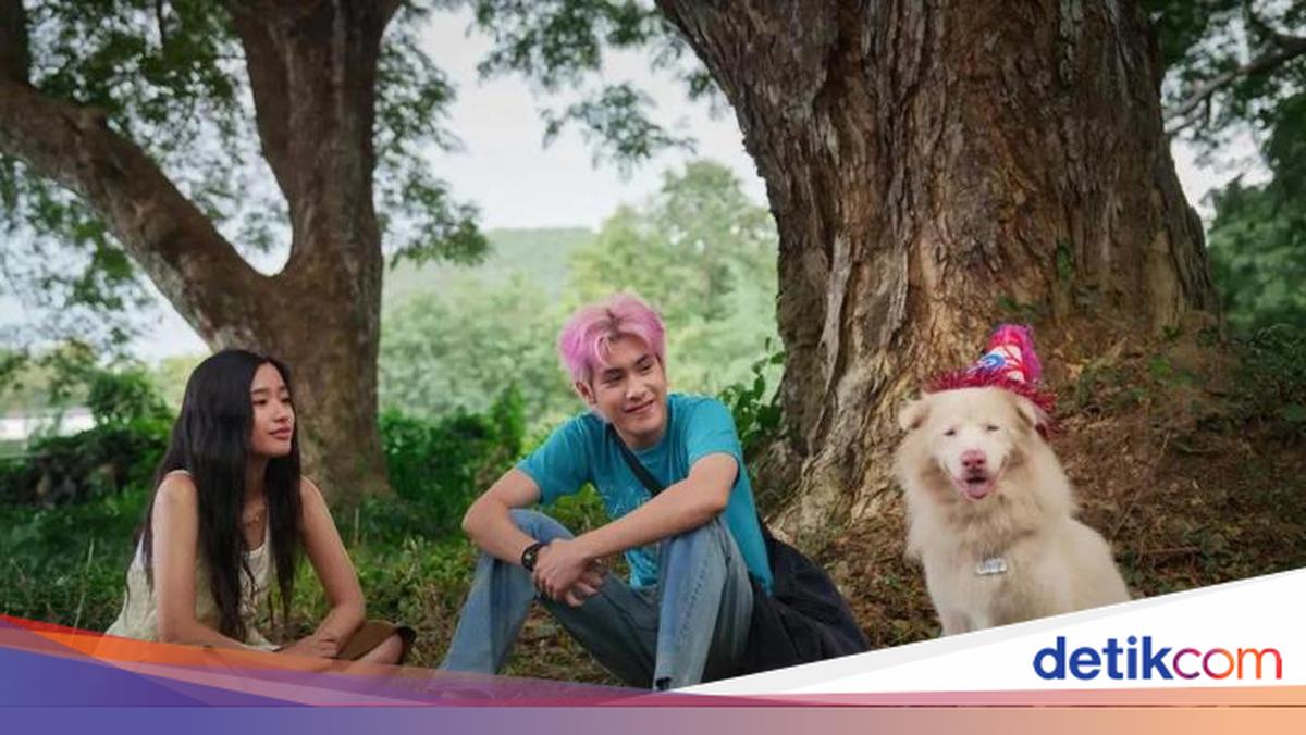 Gohan: Semua Berhak Bahagia – detikcom
