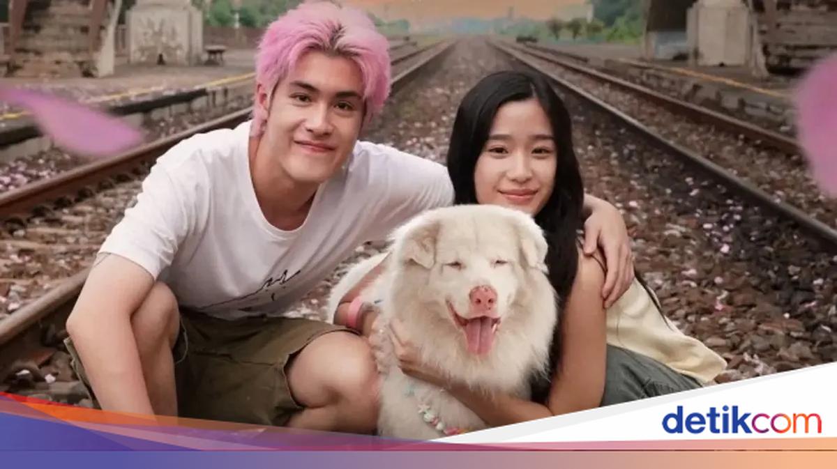 Sinopsis dan Trailer Gohan (2026): Si Anjing Hidung Merah Muda yang ...